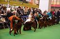 Crufts2010 1207